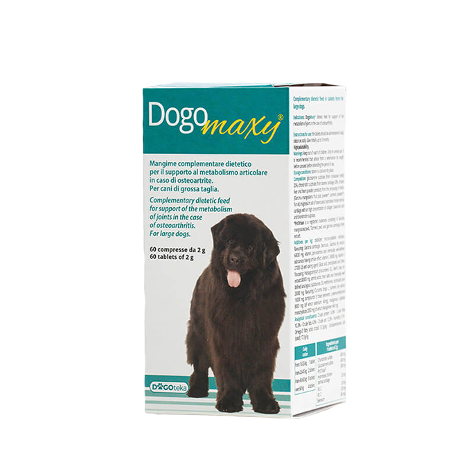 DogoMaxy® – Bild 1