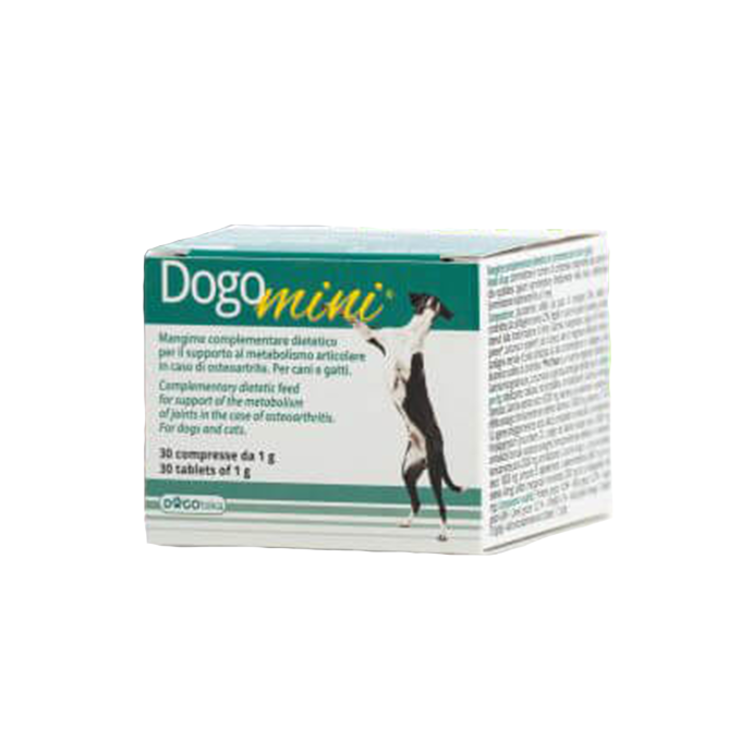 DogoMini® – Bild 1