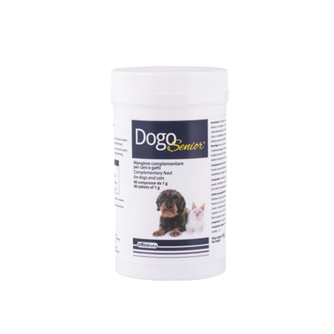 DogoSenior® – Bild 1