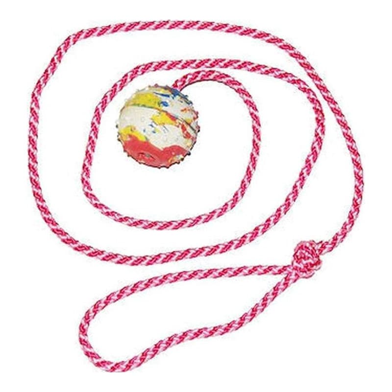Ball klein mit Schnur 100 cm