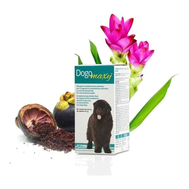Dogoteka IncoPet Dry