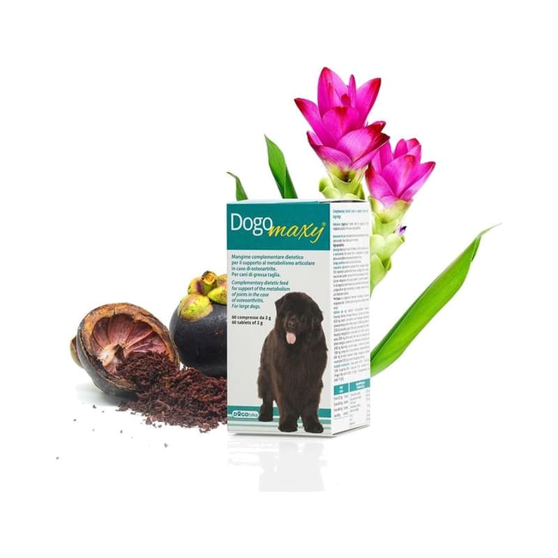 Dogoteka DogoMaxy