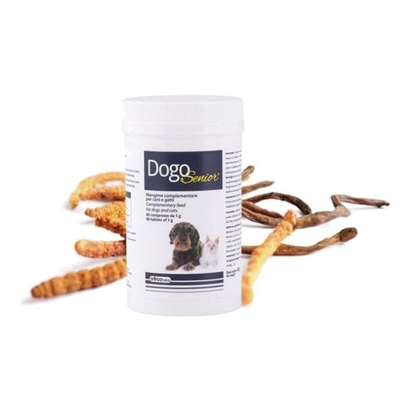 Dogoteka DogoSenior