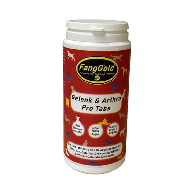 FangGold Gelenk & Arthro Pro Tabs