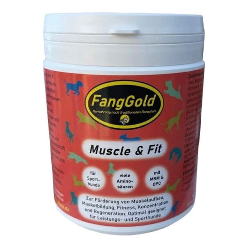 FangGold Muscle & Fit