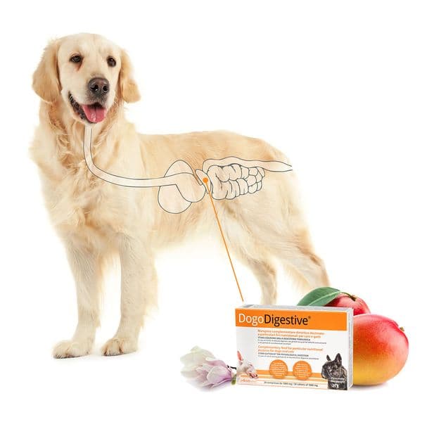 Dogoteka DogoDigestive