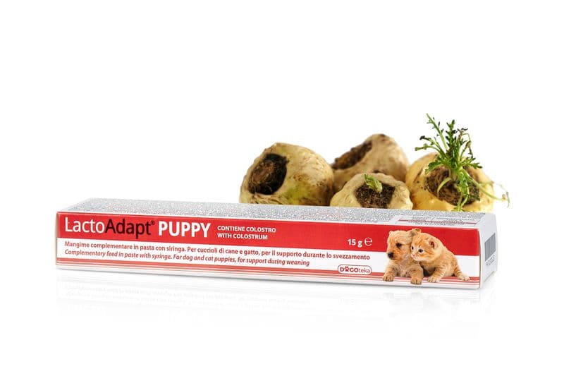 Dogoteka LactoAdapt PUPPY