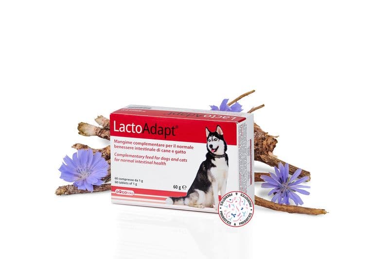 Dogoteka New LactoAdapt