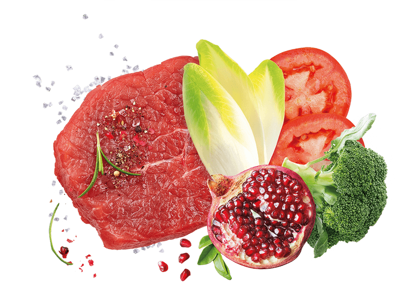 Exclusion Mediterraneo Noble Grain Adult Rind