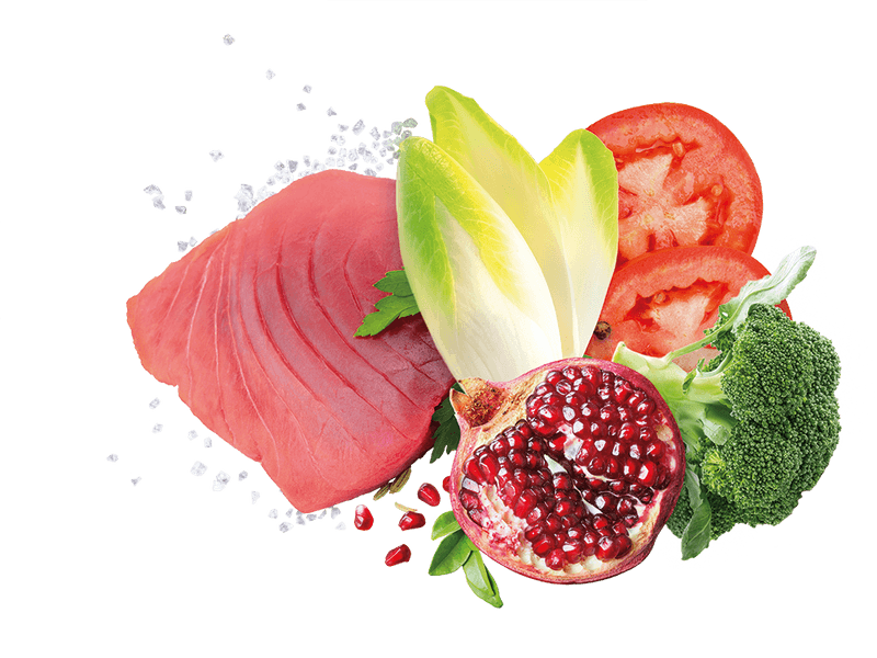 Exclusion Mediterraneo Noble Grain Adult Thunfisch