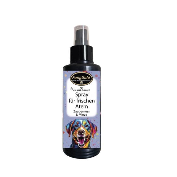 FangGold CHAMPOOGNE Spray für frischen Atem, Zaubernuss & Minze