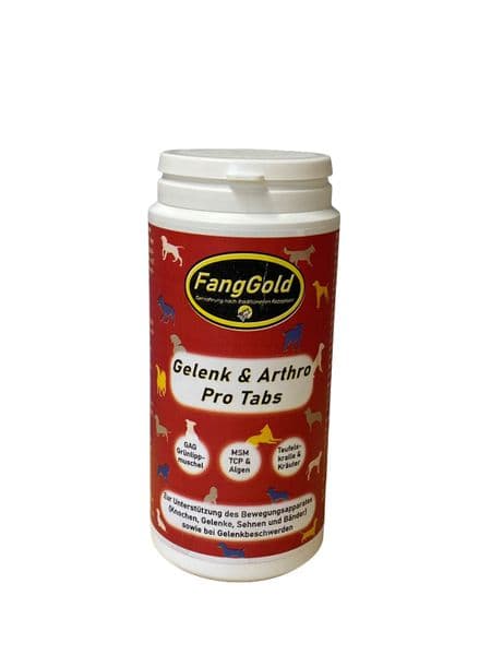 FangGold Gelenk & Arthro Pro Tabs