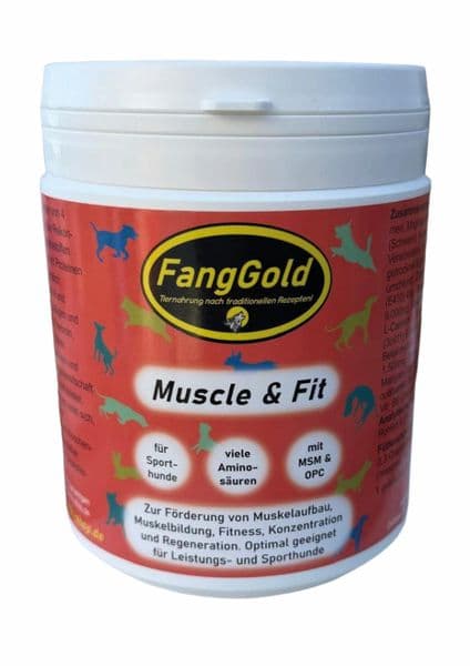 FangGold Muscle & Fit