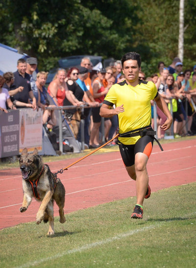 Das richtige Zuggeschirr im Canicross – Leistung beginnt bei der Passform