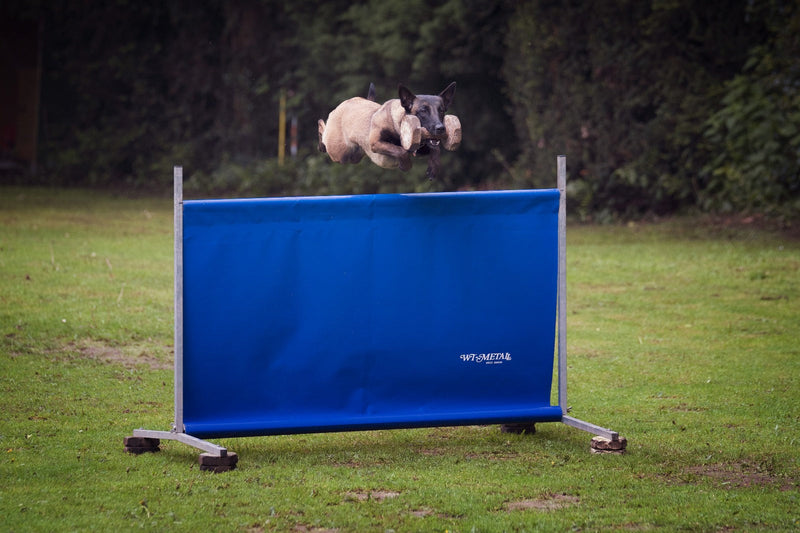 Energie für Sporthunde: Training, Wettkampf & optimale Regeneration