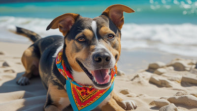 Der ultimative Guide für Reisen mit Hund