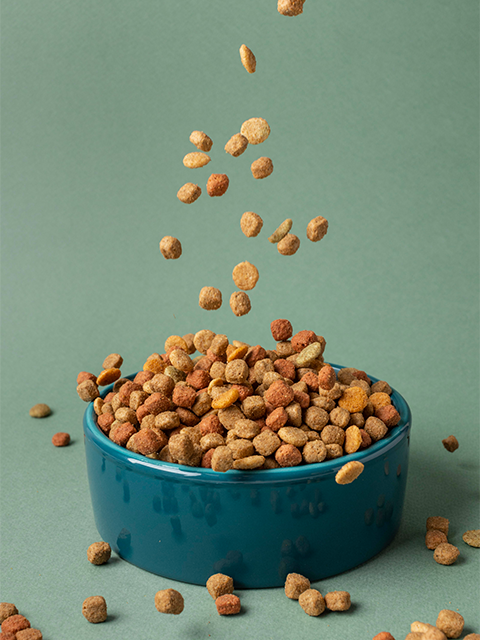 Hundefutter - Entdecke die Produkte dieser Kategorie