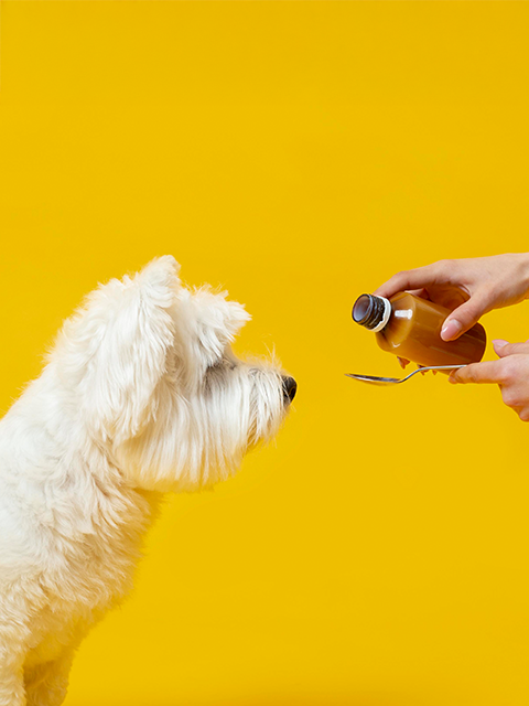 Ergänzungsfutter - Entdecke die Produkte dieser Kategorie