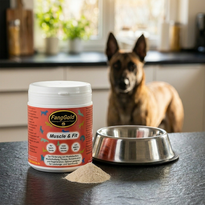 FangGold Muscle & Fit 400 g – Nahrungsergänzung für Hunde