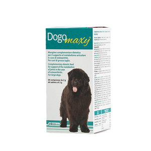 DogoMaxy