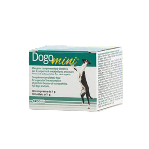 DogoMini