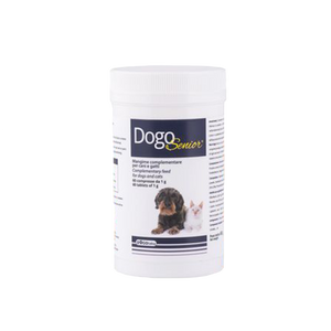 DogoSenior