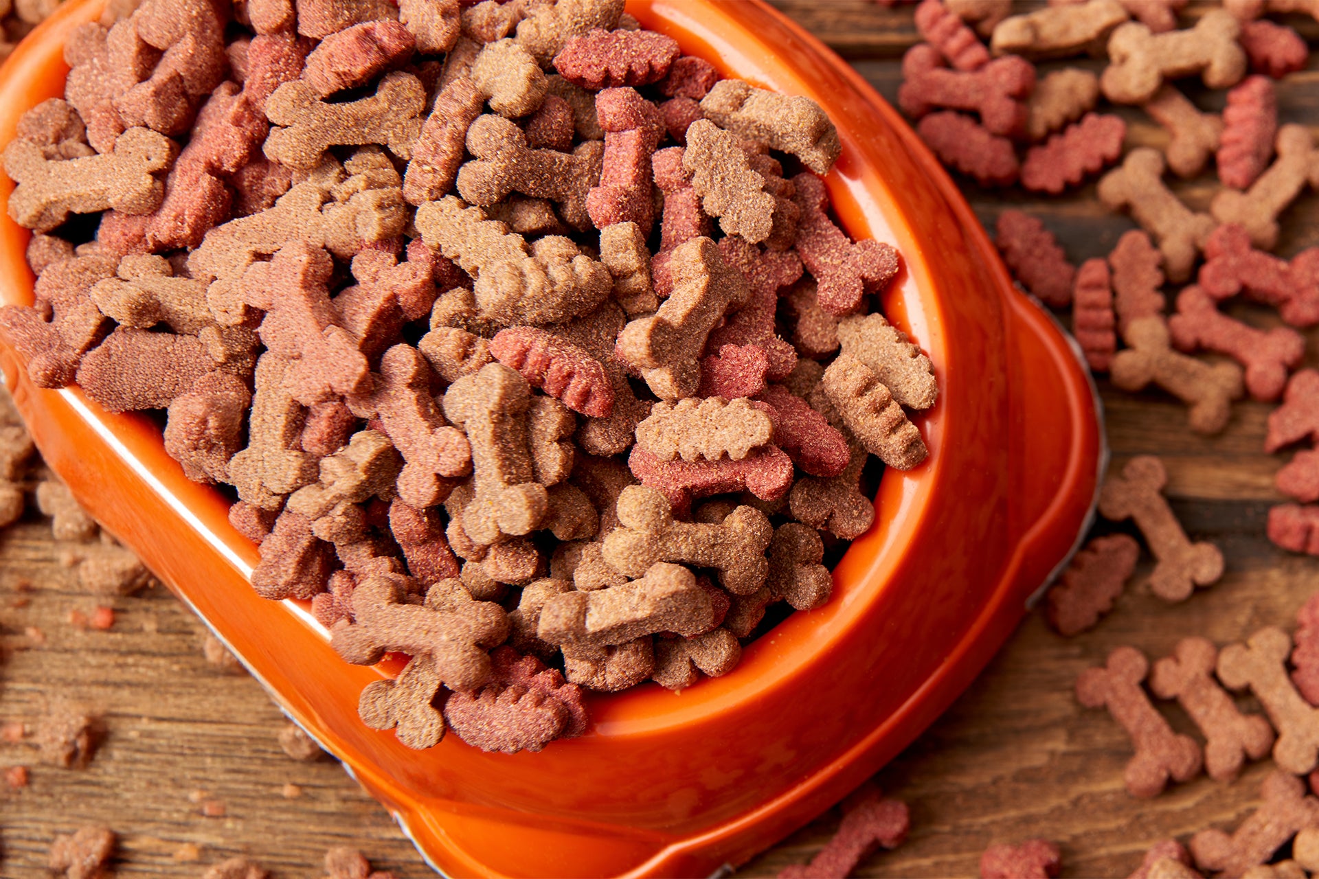 Hundeleckerlies und Hundesnacks – natürliche Belohnungen fürs Training