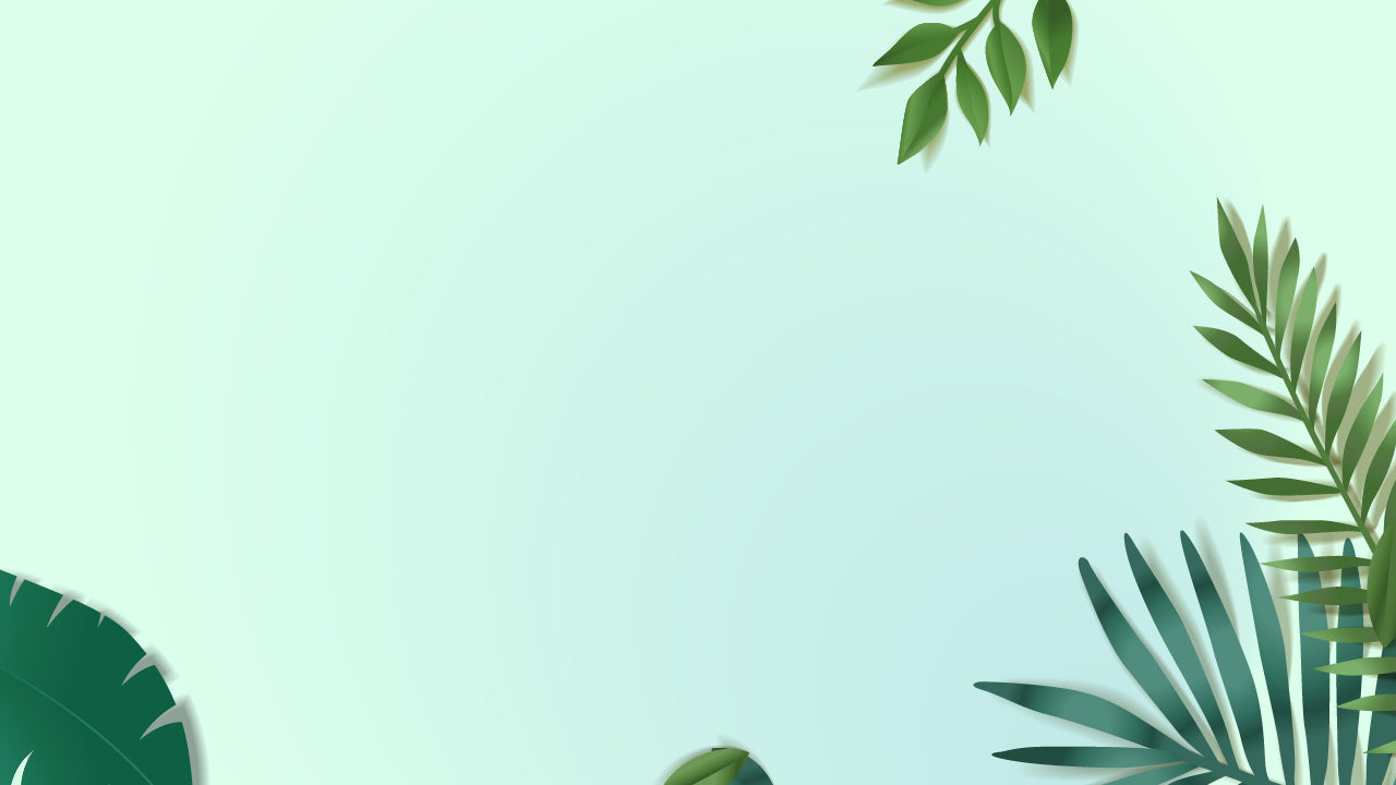 Hochwertiges Hundefutter, Hundeleckerlies und Outdoor-Bekleidung bei AgiStore